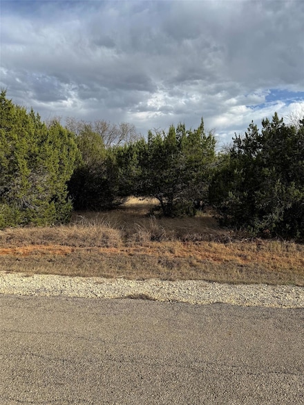 32039 Dove Trail, Whitney, TX 76692
