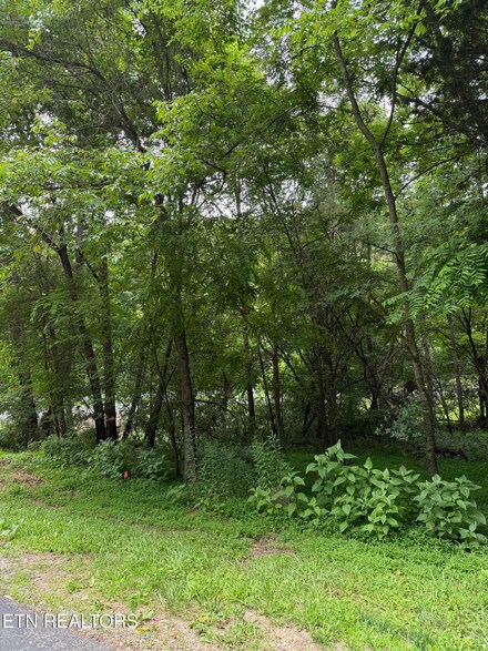 281 Ootsima Way, Loudon, TN 37774