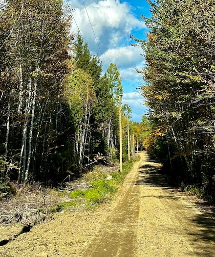 R1 37B O'Dell Rd, Industry, ME 04938