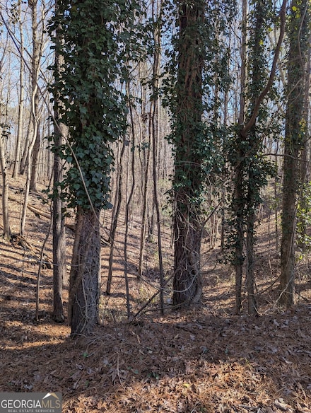 3216 Boulder Brook Dr, Lithonia, GA 30038