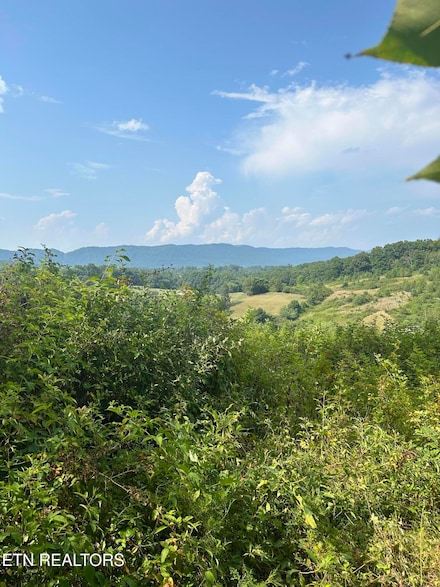 1814 Long Hollow Rd, La Follette, TN 37766