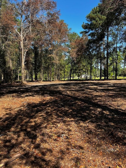 804 Glynn Willis Rd, Meigs, GA 31765