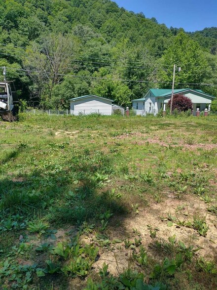 00 Excelsior Bottom Rf, War, WV 24892