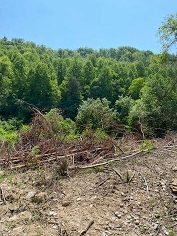 00 Rye Branch (Db 225 Dp 424-433), Gunlock, KY 41632