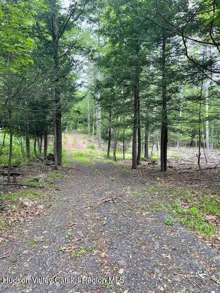 145 Frank Hitchcock Rd, Cairo, NY 12413