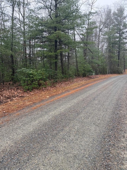 TBD Forrest Green Dr, Galax, VA 24333