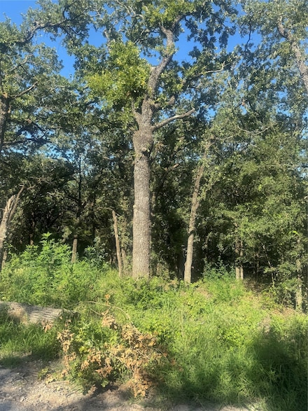 500 Private Road 3204, Bridgeport, TX 76426