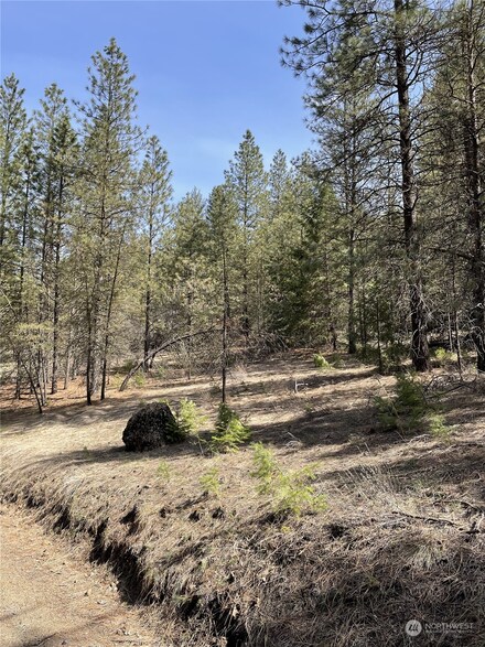 0 Harker Canyon Rd Unit NWM2130945, Davenport, WA 99122