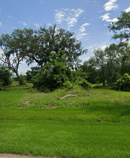 0 Turning Bayou Trail, Angleton, TX 77515