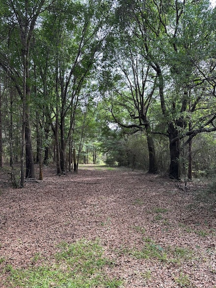 County Highway 7, Repton, AL 36475