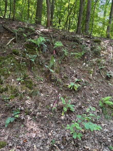 0 Mountain View Ct Unit 416867, Ellijay, GA 30536