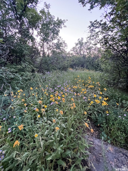 58 Juniper Dr Unit 498, Fish Haven, ID 83287