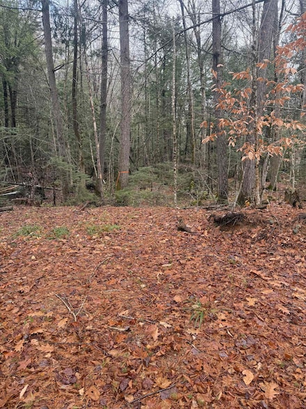 00 Partridge Hill Rd Unit 17, Sandwich, NH 03227