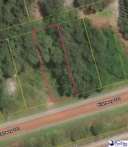 TBD Highway 301, Sellers, SC 29592