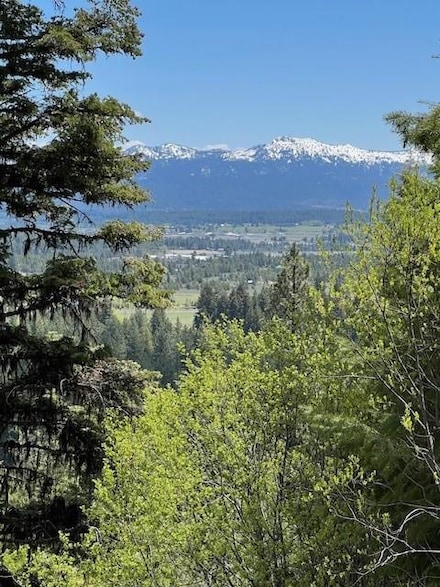 623 Lichen Ln Unit 52, McCall, ID 83638