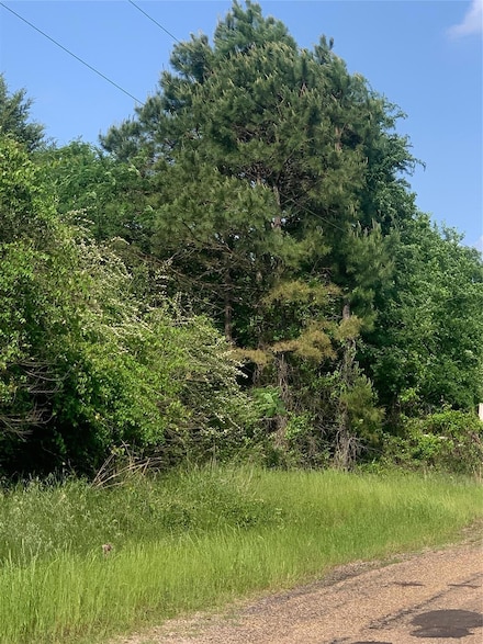 000 Cr 1660, Mount Pleasant, TX 75455