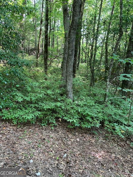 0 Maple Leaf Unit 10366816, Dillard, GA 30537