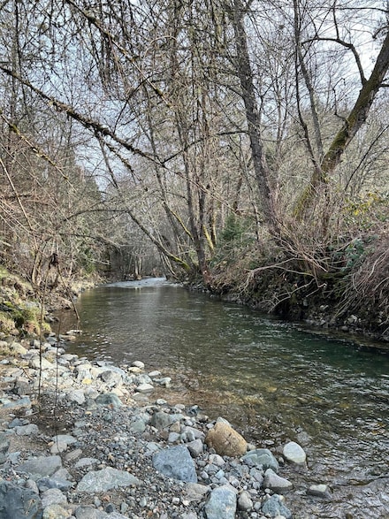 1773 Cedar Flat Rd, Williams, OR 97544