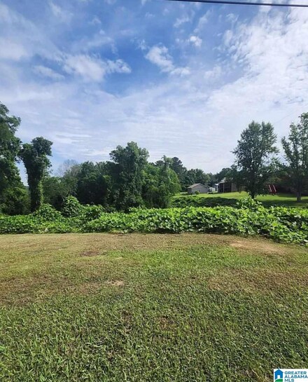 894 9th Ave SE Unit Ave, Graysville, AL 35073