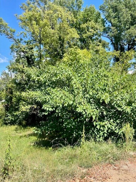 2625 Andrews St, Chattanooga, TN 37406