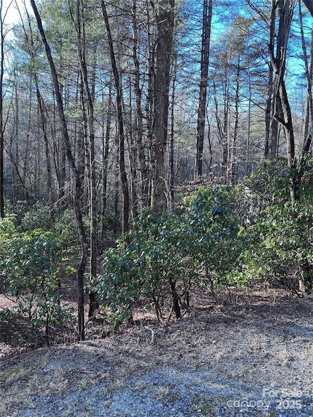 L76 Salola Ln, Brevard, NC 28712