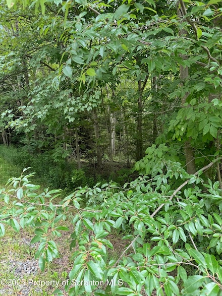 0 Wesser O'Hara Rd Unit GSBSC250374, Spring Brook Township, PA 18444