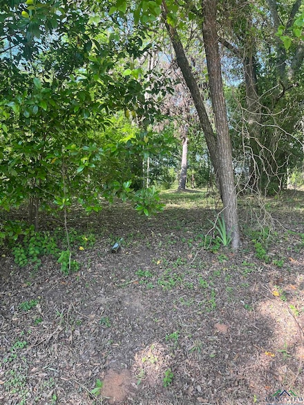 TBD W Elysian Fields Ave, Marshall, TX 75672