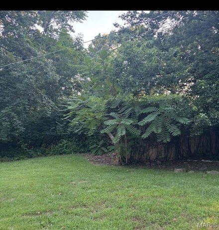 3456 Wedde Rd, Imperial Township, MO 63012