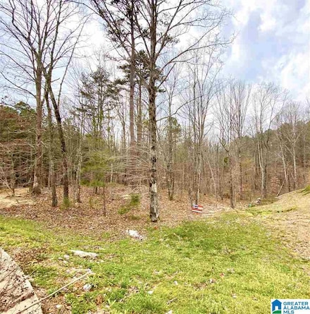0 Karah Dr Unit 64 878003, Moody, AL 35004