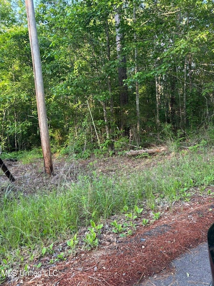 3934 Highway 16 E, Canton, MS 39046