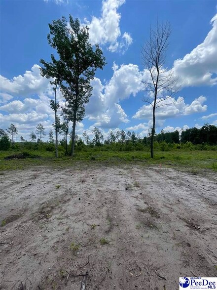 603 Mincey Dr, Loris, SC 29569