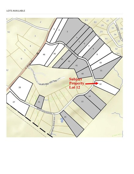 24-12 Winnipesaukee Dr Unit Survey lot 12 Town l, Wolfeboro, NH 03894