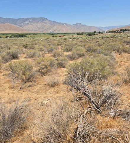426-390-20 Rankin Ave, Weldon, CA 93283