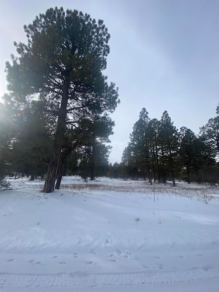 0 Badger Unit 430 South 43508, Ridgway, CO 81432
