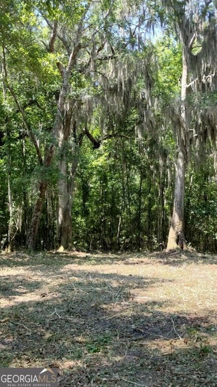 0 Briar Patch Lot #29 Place, Townsend, GA 31331