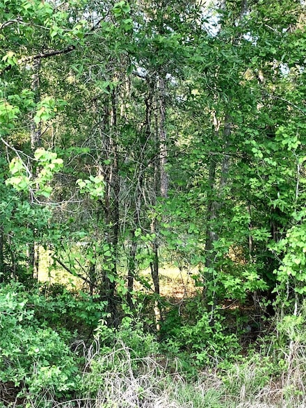 000 Turtle Rd, Wallisville, TX 77597