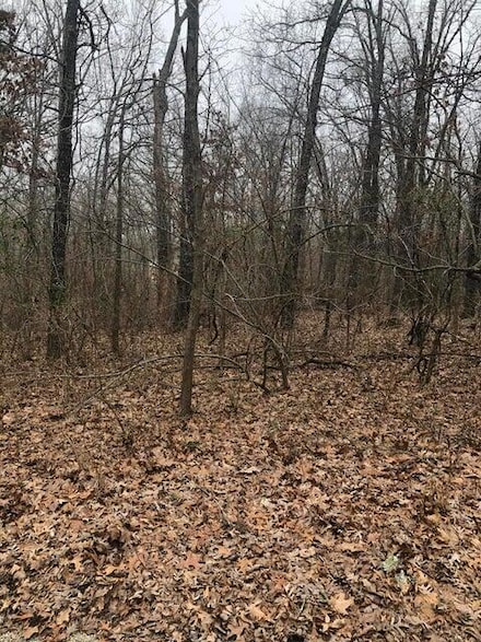 000 County Road 6110, West Plains, MO 65775