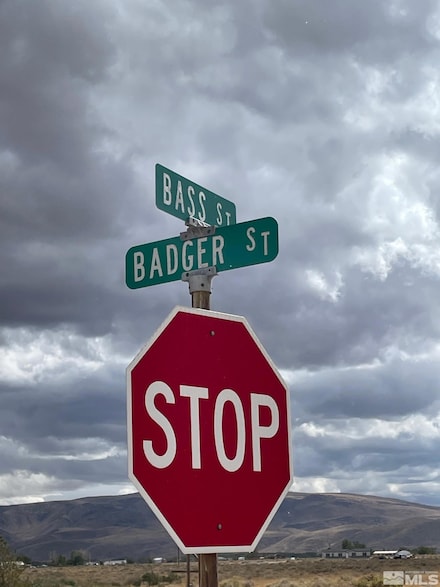 1840 E Badger St, Silver Springs, NV 89429