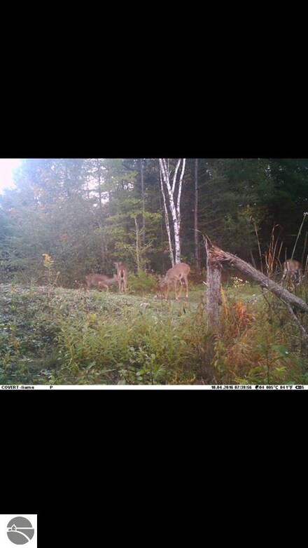 N/A E City Limits Rd, Standish, MI 48658
