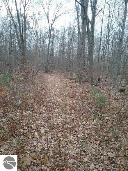 4124 W Prairie Rd, Shepherd, MI 48883