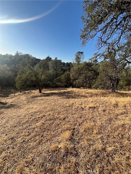 175 Lemon Hill Dr, Oroville, CA 95966