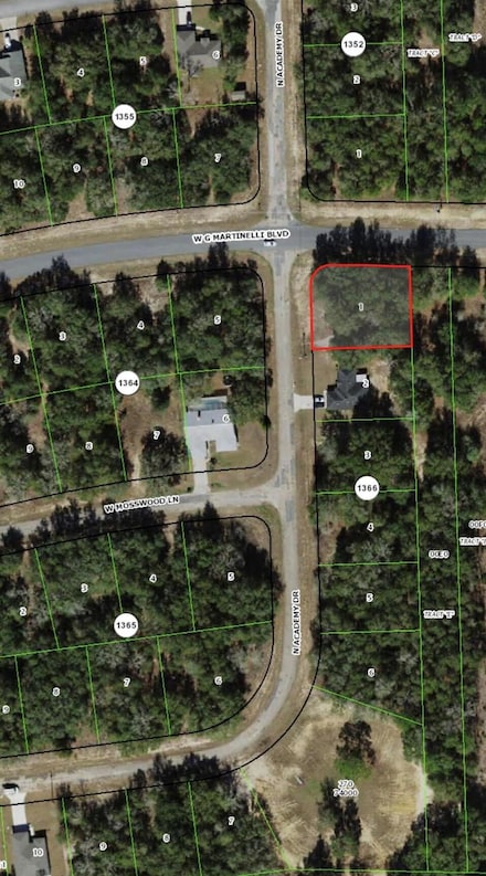 11064 N Academy Dr, Citrus Springs, FL 34434