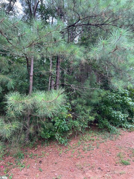 139 Mountain Lake Dr, Piedmont, SC 29673