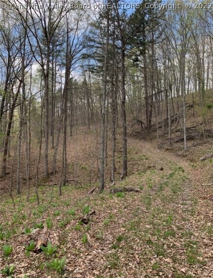 0 Greystone Branch Unit 255121, Branchland, WV 25506