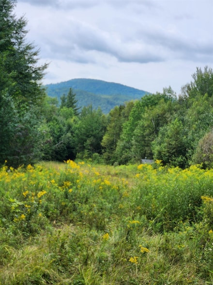 0 Route 115 Unit 5036498, Carroll, NH 03595