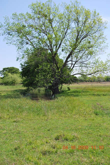 16953 Grant Rd, Cypress, TX 77429