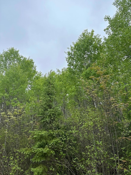 ON Burrows Lake Rd Unit Lot 9, Tomahawk, WI 54487