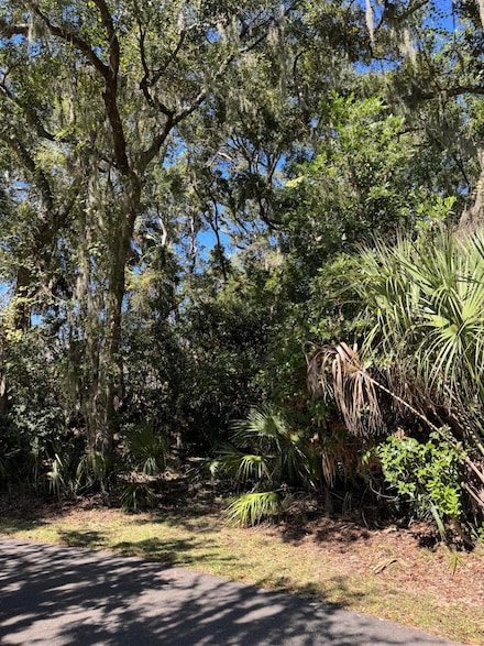 0 N King Cotton Rd Unit 25028316, Edisto Beach, SC 29438