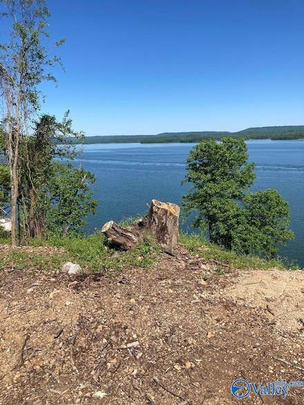 810 Pine Island Point, Scottsboro, AL 35769
