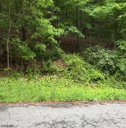34 Ryan Rd, Hackettstown, NJ 07840
